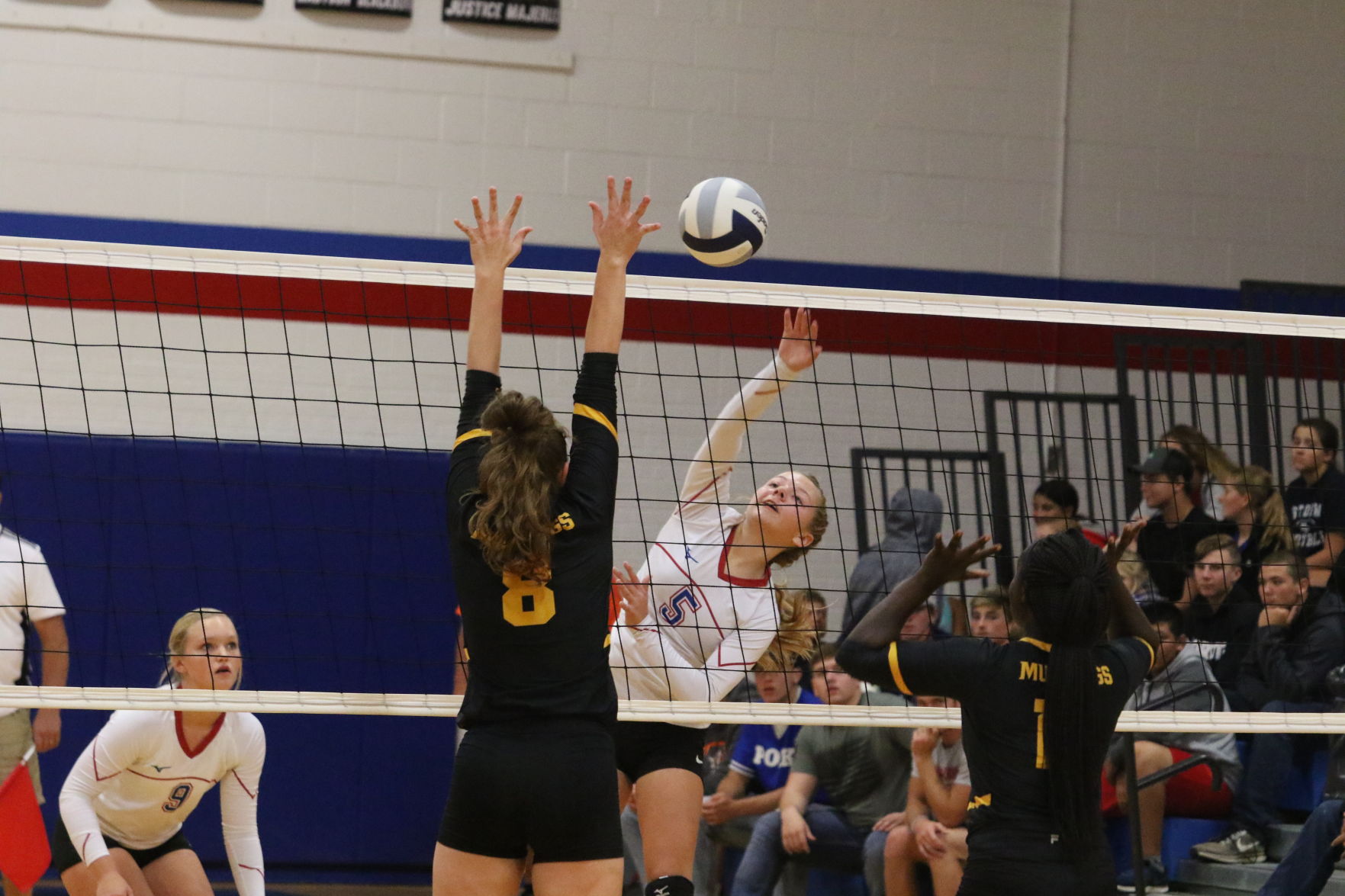 Volleyball (15).JPG